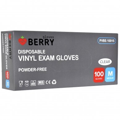 Disposable Berry vinyl gloves without powder (transparent, no medical) 100pcs 2